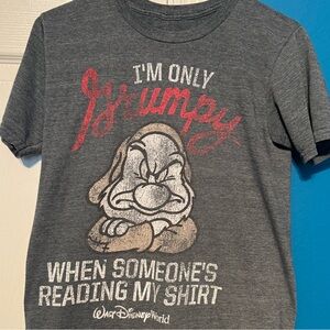 Disney Land Grumpy Walt Disney World T-Shirt Gray Distressed Style Graphic Tee